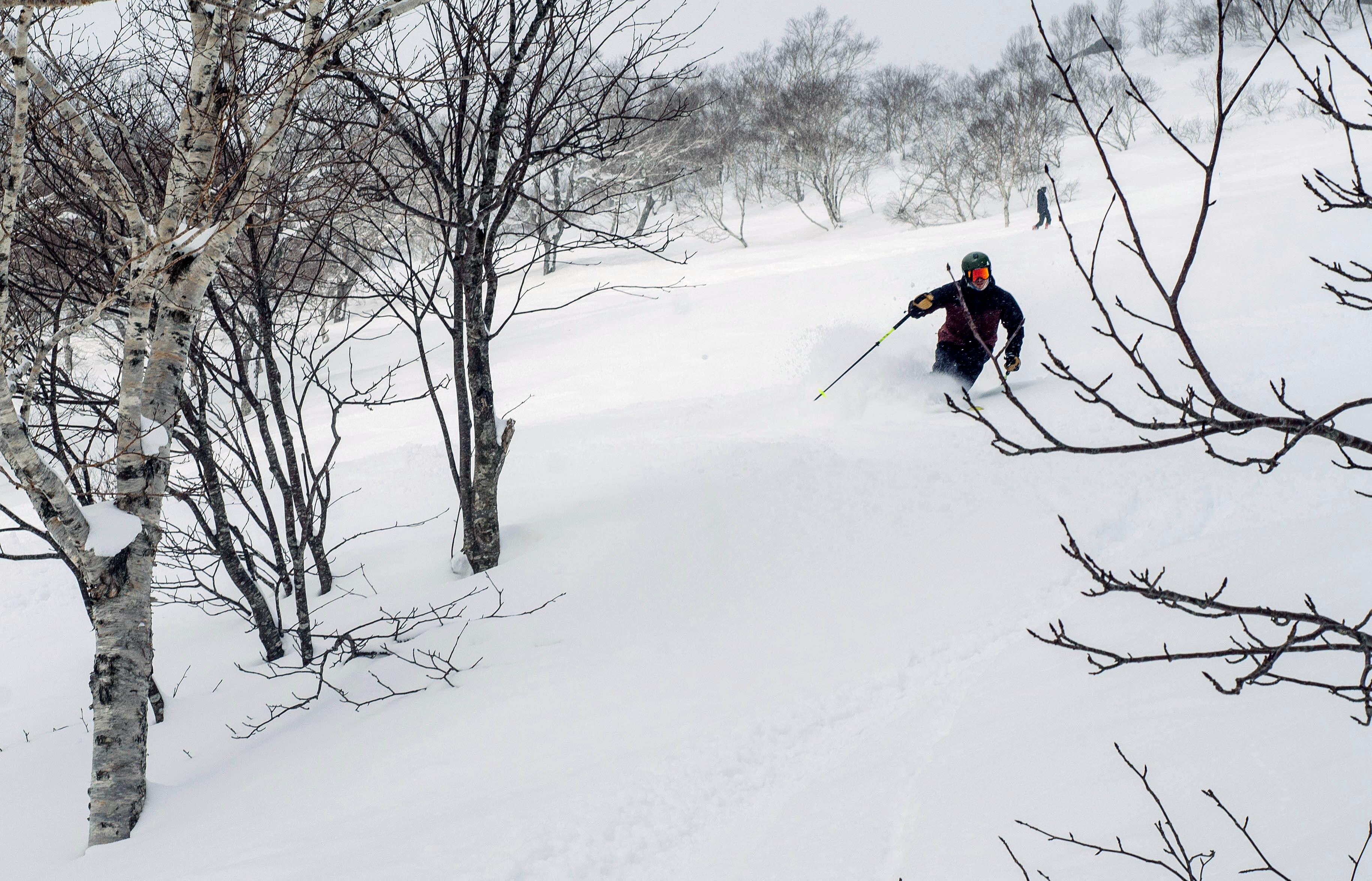 Skier in dark gear descends a snowy slope through a forest of bare birch trees.
