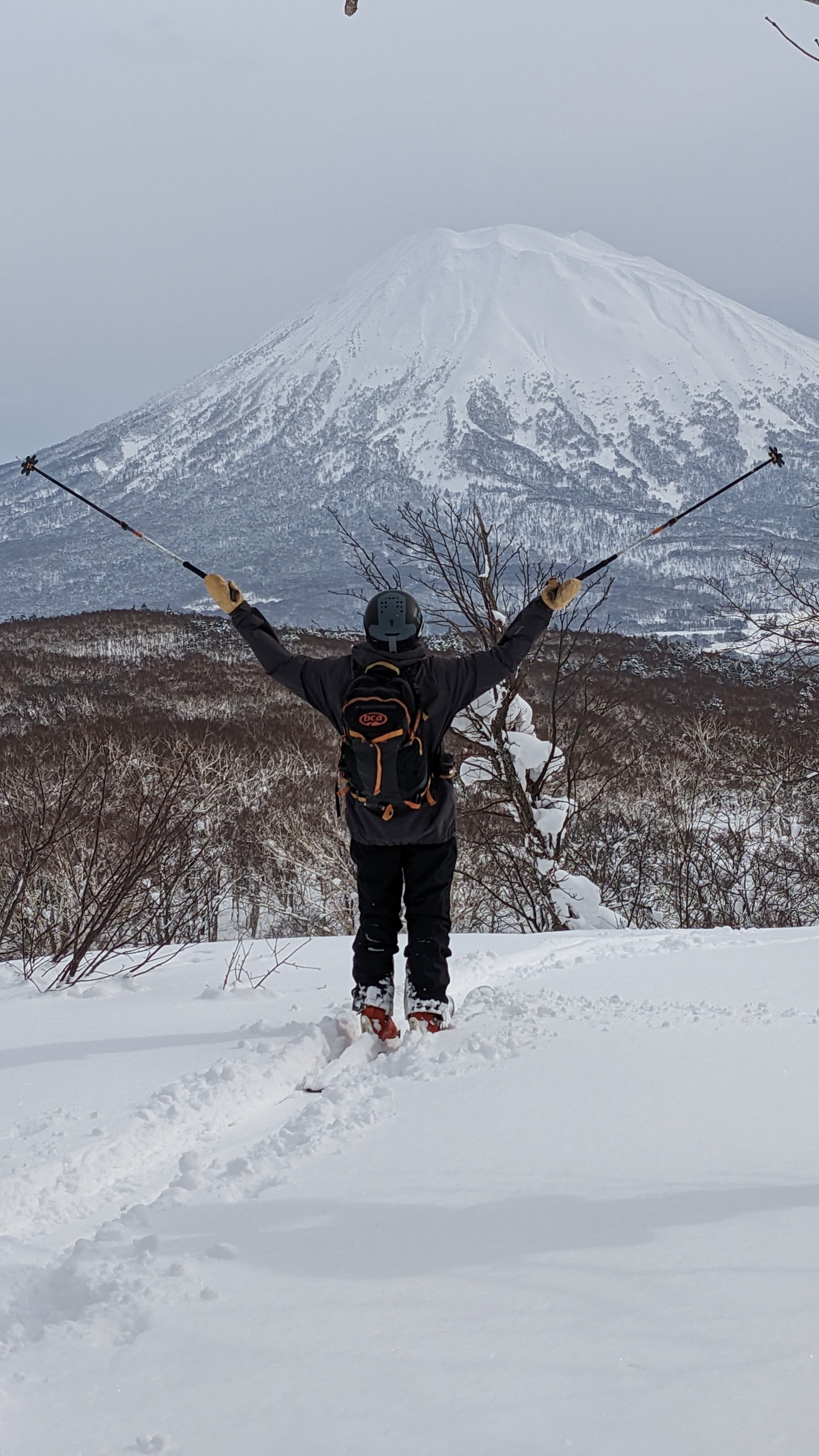 Skier with arms raised in celebration stands in snow facing a massive snow-capped mountain.