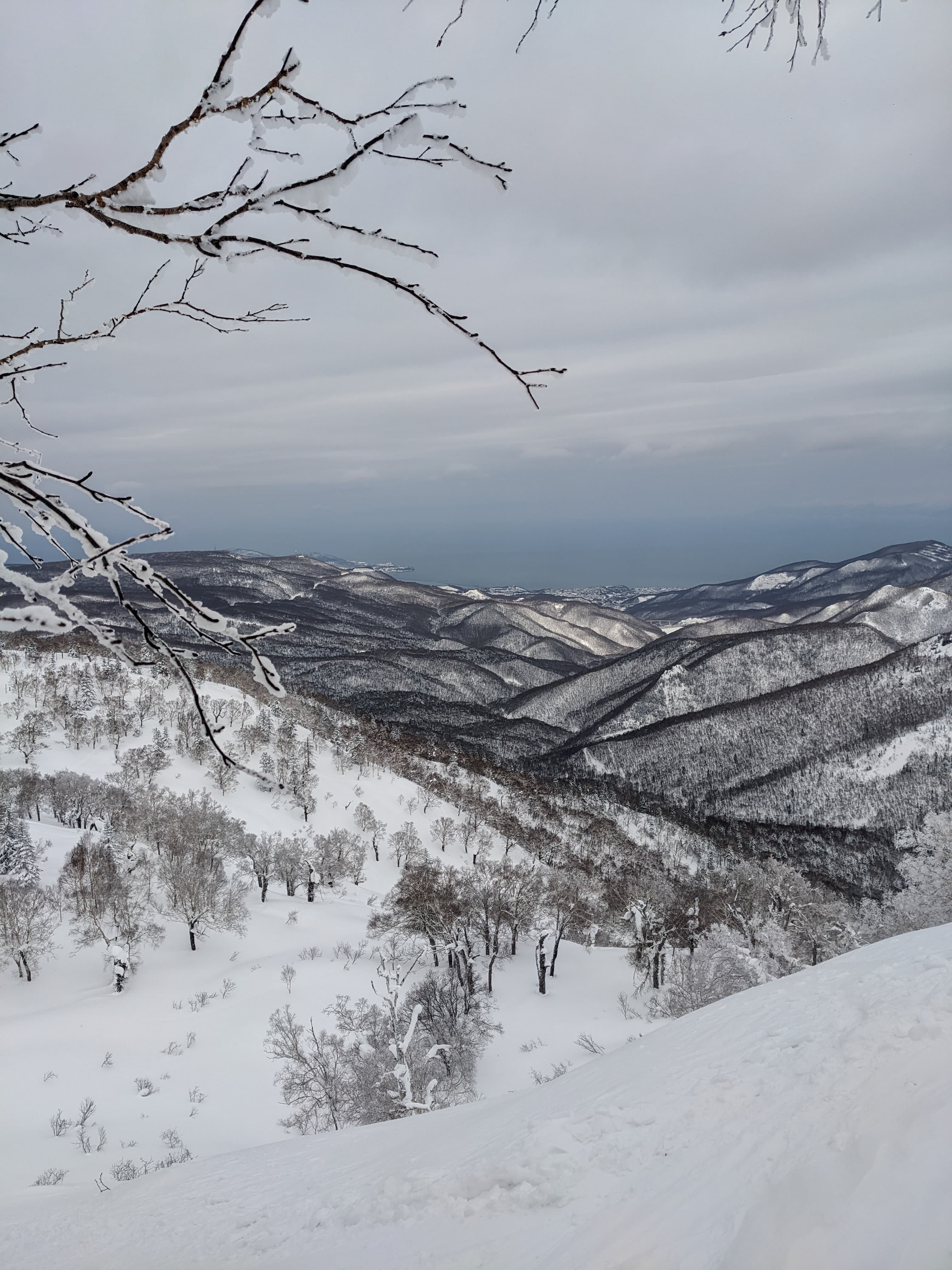 Snow-covered mountains and valleys stretch toward a distant sea under a grey, overcast sky.