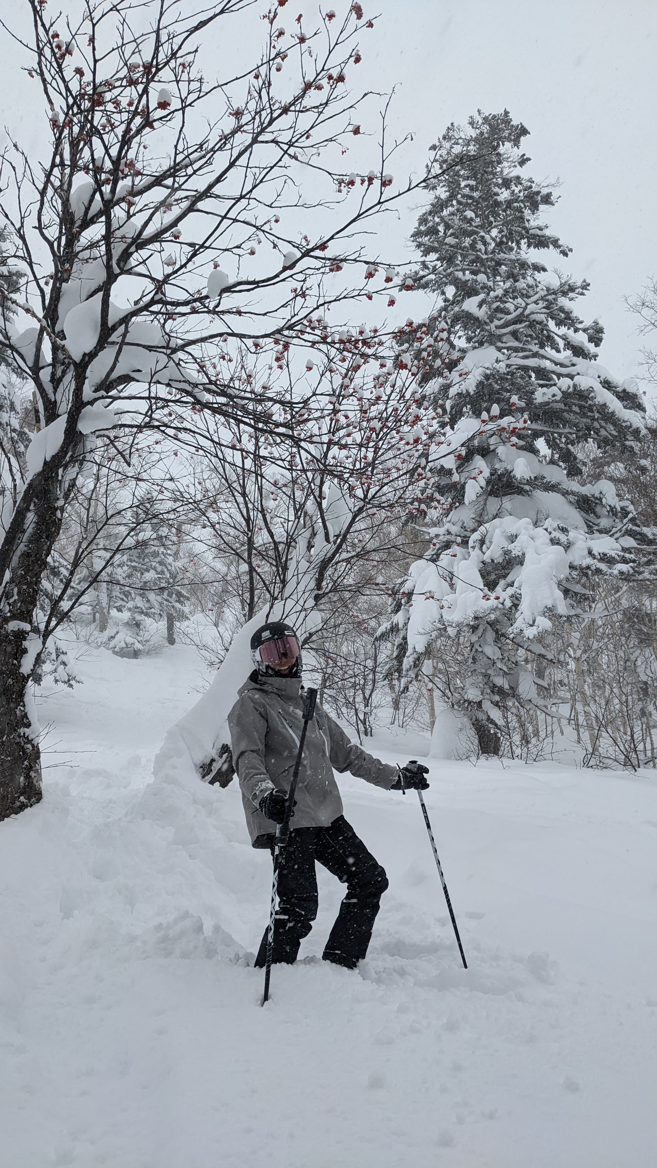 Skier in grey jacket stands in deep snow surrounded by snow-covered trees and berries.